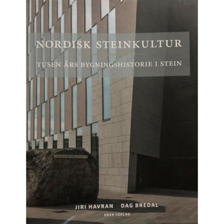 Nordisk Steinkultur 9788292100561