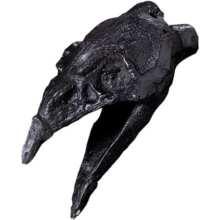 Autentisk Aztec Dødsfløyte - Kråke Nebb Design, Halloween Dekorasjon med Distinkt Lyd