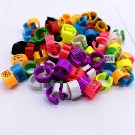 Due Ringe Due Fugle Clip Ringe MULTICOLOR