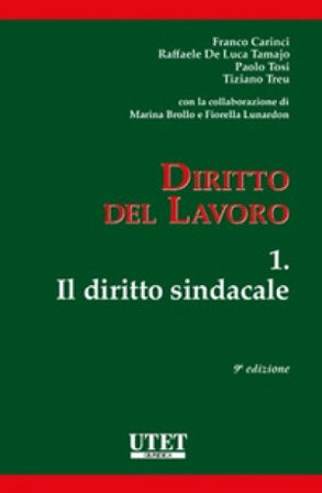 Diritto del lavoro. Vol. 1: Il diritto sindacale Franco Carinci