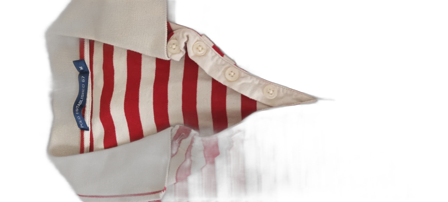 Polo Ralph Lauren dress