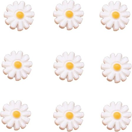 Mini White Flower Daisy 11-kronblade løse perler Naturlig skal