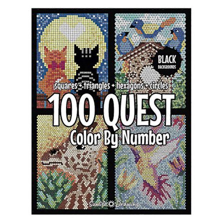 100-QUEST Color-Quest Aktivitetsbøger Kompatible med Voksne Innovative Puslespil Malebøger Kompatible med Voksne