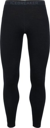 Icebreaker M's Tech Leggings 260 Black/Monsoon