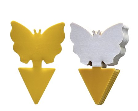 Insektsfelle potteplanter 25-pak