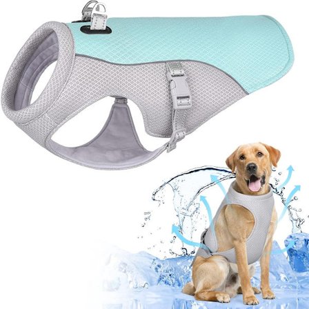 Kjølevest Hund, med Justerbar Titanium D-Ring, Pustende og Lett Kjølevest for Kjæledyr, Bryst 39-56-Nakk 38-Rygglengde 35 (Blå M)