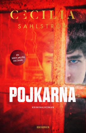 Pojkarna - Bok av Cecilia Sahlström - Inbunden
