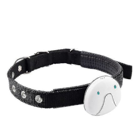 2025 Ny Smart GPS Katt & Hundhalsband GPS Tracker (vit)