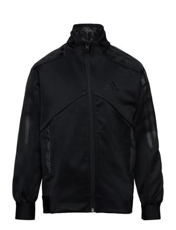 B Tsup Ttop Black Adidas Sportswear