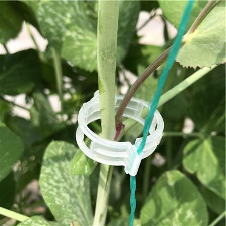 100-pakke plastplanteklemmer for hagestøtter, tomatplanteklemmer - XIN