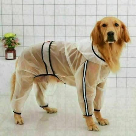 Vedenpitävä takki pienille koirille ja kissoille, hupulla, säädettävä, läpinäkyvä ja erittäin kevyt XL