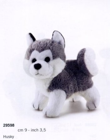 Sw Col Husky NA
