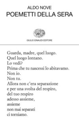 Poemetti della sera Aldo Nove