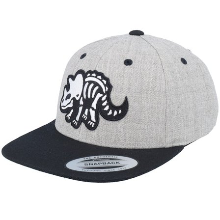 Kiddo Cap - Grigio snapback Cappellino - Kids Triceratops Skeleton Heather Grey/Black Snapback @ Hatstore