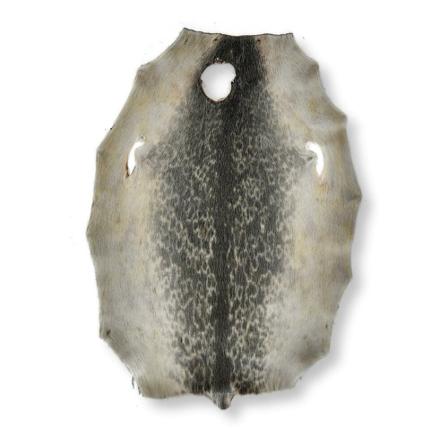 Levinsky Ringed Seal (Ringsæl) Natural Grå, unisex Accessories, Størrelse: ONE Size