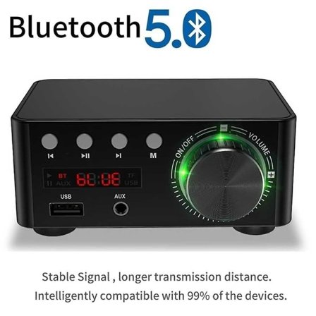 100W HiFi Forstærker Klasse Bluetooth 5.0 Lille Digital Effektforstærker Understøtter U Disk SD Kort RCA Lydindgang