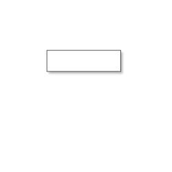 SEIKO Instruments - merkelapper - 300 stk - 11 x 38 mm