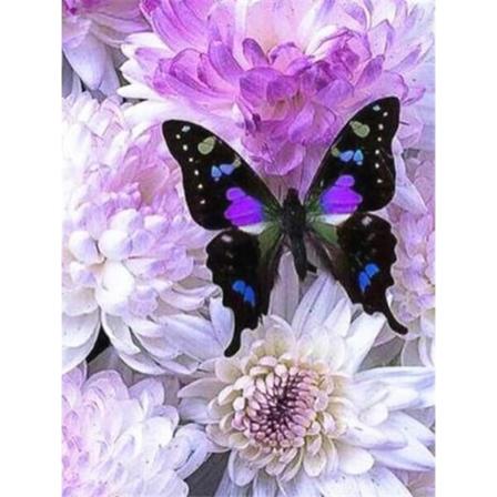 30 x 40 cm, sommerfugl Diamond Painting Diamond Broderi Maleri