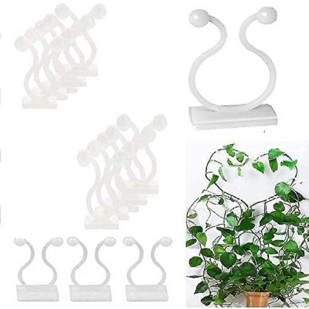 50 plante klips Klatreplante klips Selvklebende planteholdere