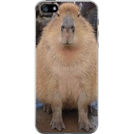 Kompatibelt Mobilskal till Apple Apple iPhone 5 Capybara