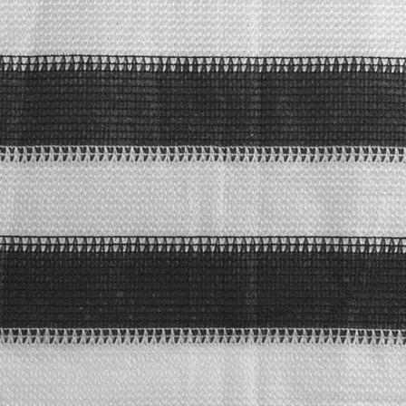 Vidaxl Tältmatta 250x600 Cm Antracit Och Vit Antracit