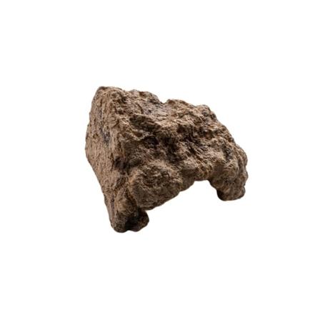 Simulering Reptil Gömmer Grotthål Utsmyckning Konstgjord för Medium