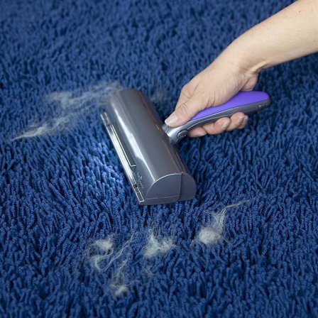 Fur Daddy Sweeper Brush - Pälsborste - Hårplockare för katt/hund - Lila och grå - För soffa/kläder/bil