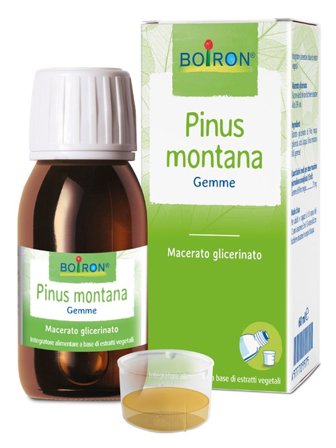 Pinus Montana Macerato Glicerico 60ml