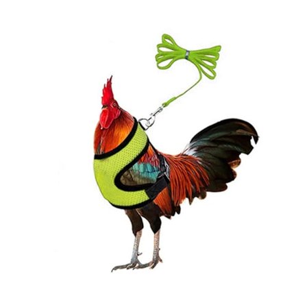 1 Set Kana Valjaat Talutushihnalla Hengittävä Säädettävä Kana Ankka Siipikarjan Liivi Takapihalle