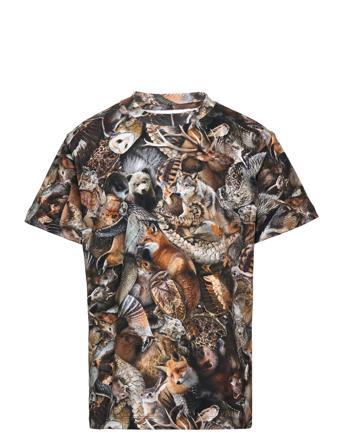 Roxo Langærmet T-shirt Multi/mønstret Molo