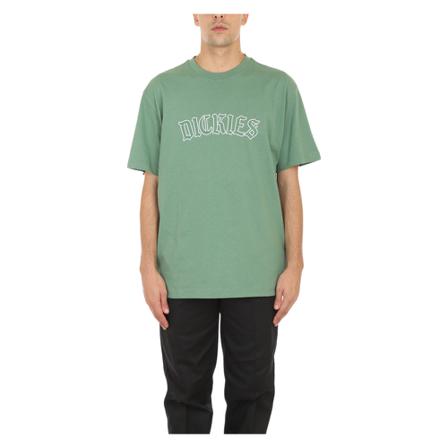 Dickies, T-Shirts Groen, Heren, Maat:XL