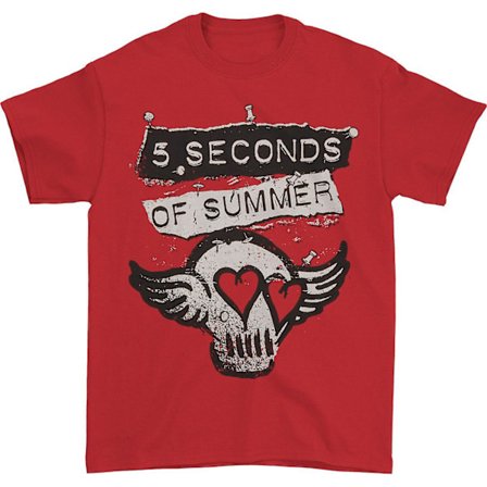5 Seconds Of Summer Skull Wings T-shirt