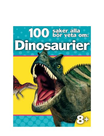 100 Saker Alla Bör Veta Om : Dinosaurier Patterned GLOBE