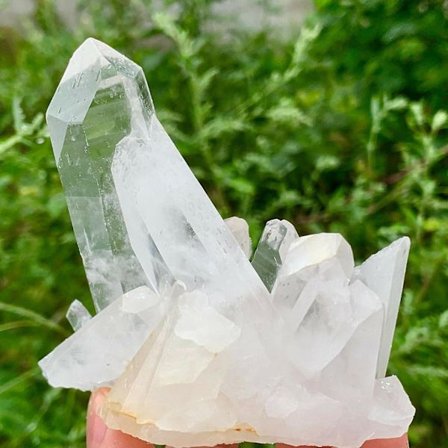 Naturlig Sjælden Hvid Kvarts Krystal Klynge Prøve