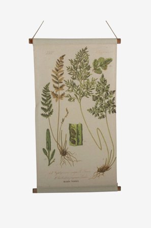 NORDFORM - Vegghengende Ormbunke - Natur - Posters, bilder & skilt - Fra Homeroom