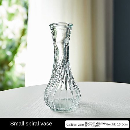 Glasvas Hydroponic Plant Vase C C
