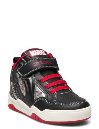 J Perth Boy C Black GEOX