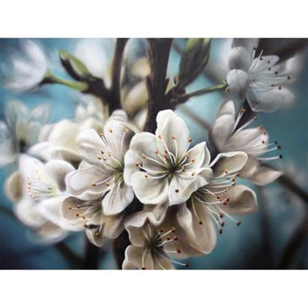 Diamond Painting 5d Diy Diamant Målning Vita Blommor 30x40cm