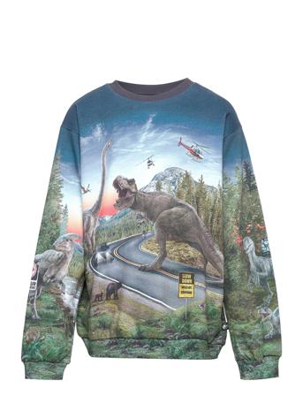 Miksi Svetari Collegepaita Monivärinen/Kuvioitu Molo