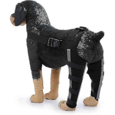 Ledstøtte til kæledyr til hunds bagben, stabilitet og komfort S Reflekterende sort