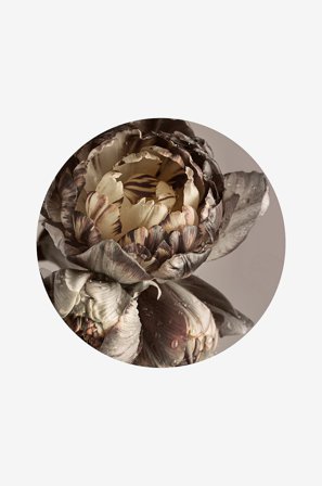 Malerifabrikken - Bilde Baroque 4 - Gull - Bilder & skilt - Fra Homeroom