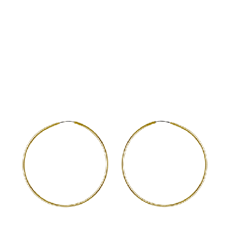 Pilgrim Örhängen, Sanne Smycken & klockor Dam Guld ONESIZE