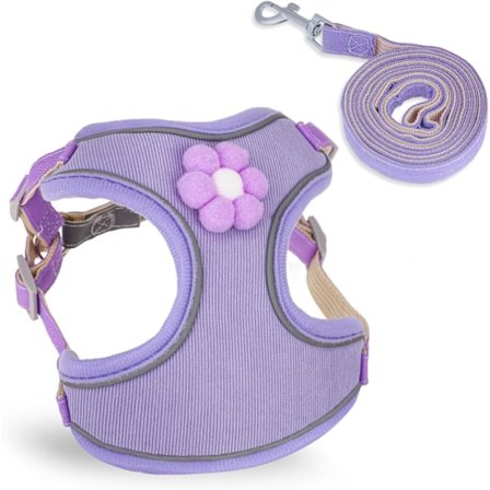 Ingen træk-trin-i hvalpe-sele med åndbart mesh og hurtigudløser-spænde Hunde-sele og snor til små og mellemstore hunde Reflekterende justerbar 