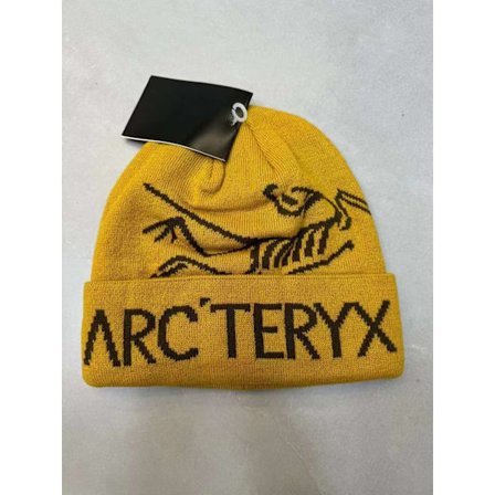 ARC'TERYX Herre Lue Casual Varm Vinter Skilue Fugle Jacquard