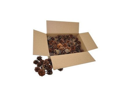 PLAYBOX Tallkottar 125/FP 125/fp - Lyreco - Skola och förskola > Hobbymaterial > Pyssel