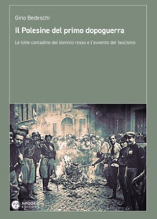 Il Polesine del primo dopoguerra. Le lotte contadine del biennio rosso e l'avvento del fascismo Gino Bedeschi