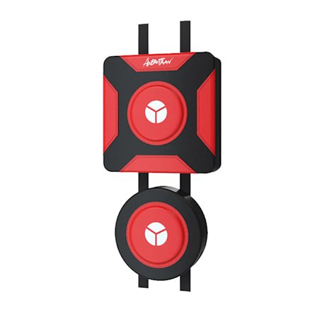 Vägghängd Boxningsplatta, 11 kg