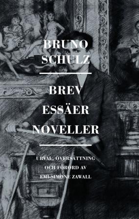 Brev, essäer, noveller - Bok av Bruno Schulz - Inbunden