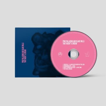 That wasn't a dream Palladino Pino & Mil