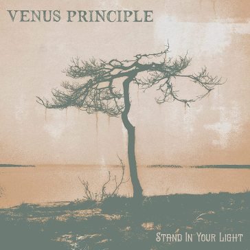 Stand in your light VENUS PRINCIPLE